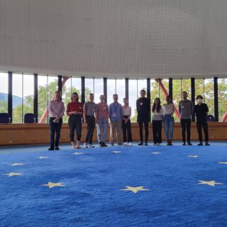Participants in the European Court of Human Rights